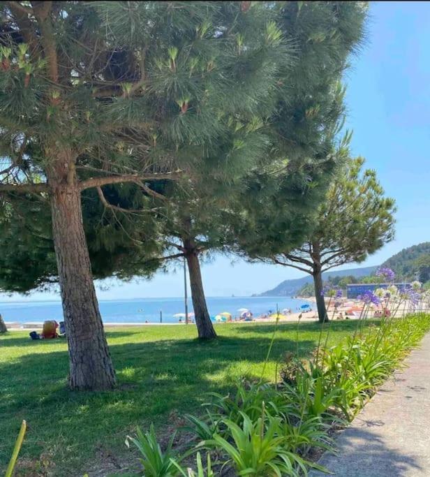 Setubal Rp House Apartamento Perto Do Mar E Comercio Na Luisa Todi Dış mekan fotoğraf